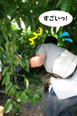 2012091320