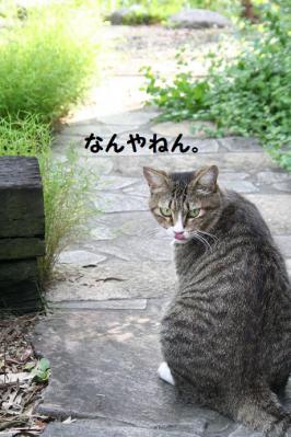 2012091324