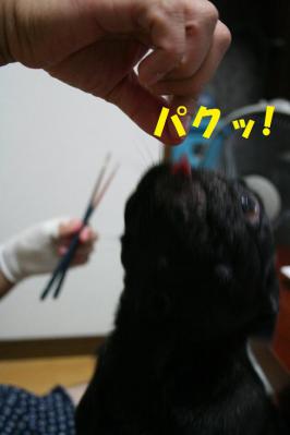 2012091328