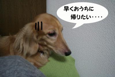 201209222