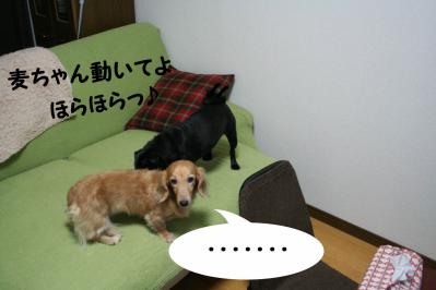 201209223