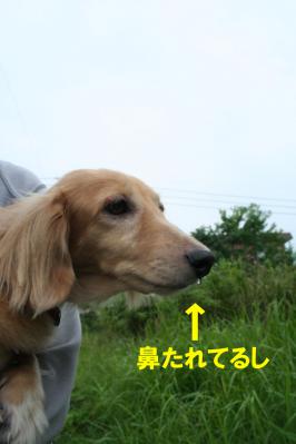201209226