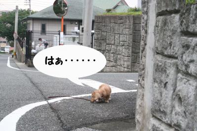 201209227