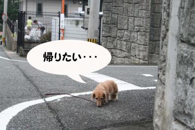 201209228