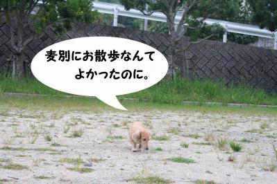 201209229