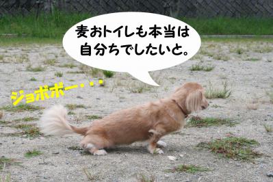2012092211