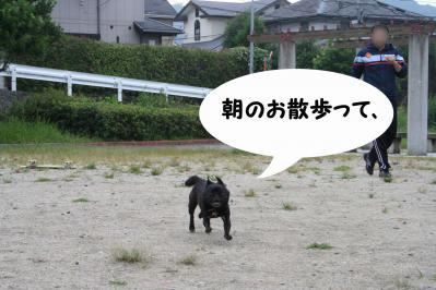2012092212