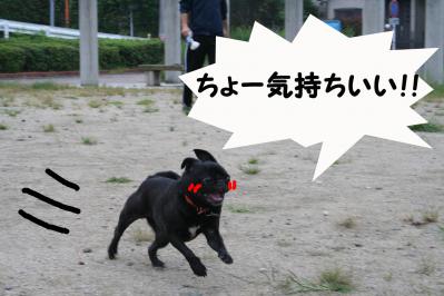2012092213