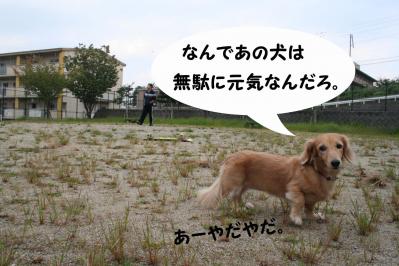 2012092216