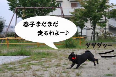 2012092217