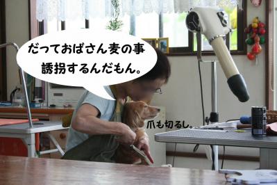 201209231