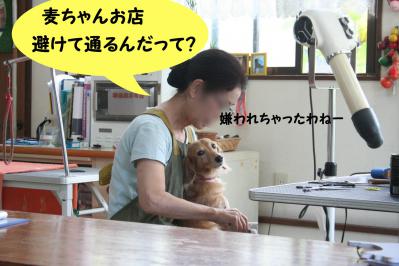 201209232