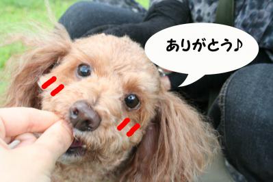 201209235