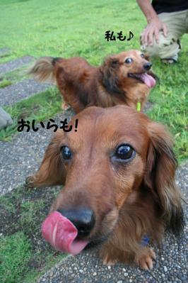 201209236