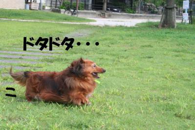 201209238