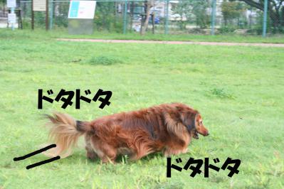 201209239