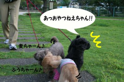 2012092311