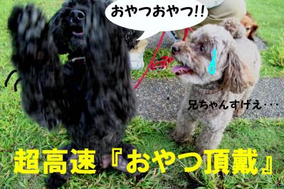 2012092312