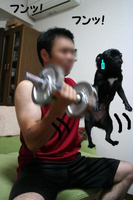 201209255
