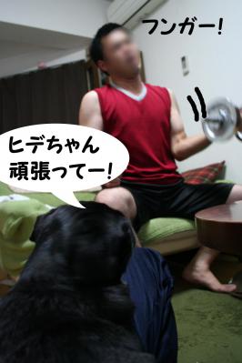201209258