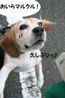 201209306