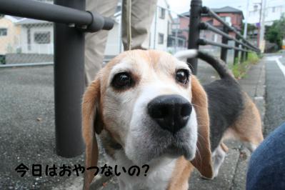 201209307