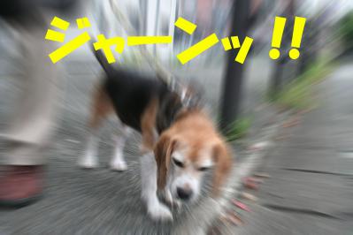 201209308