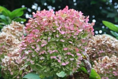 201209309