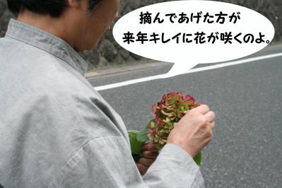 2012093010