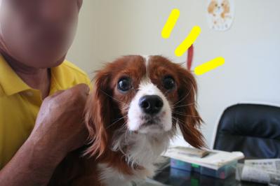 2012042831