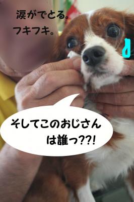 2012042833