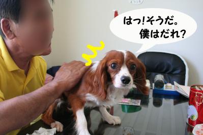 2012042834