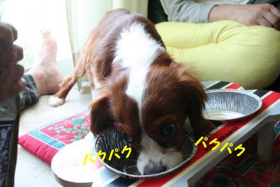 2012042837