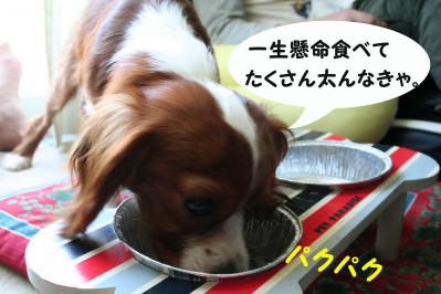 2012042838