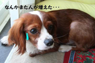 2012042841