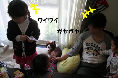 2012042842
