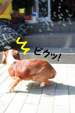 2012042845