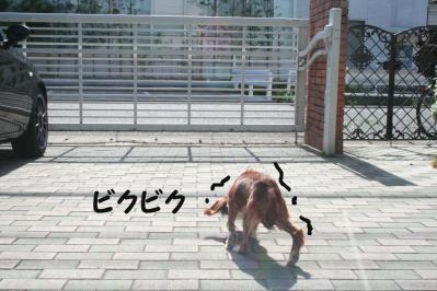 2012042846