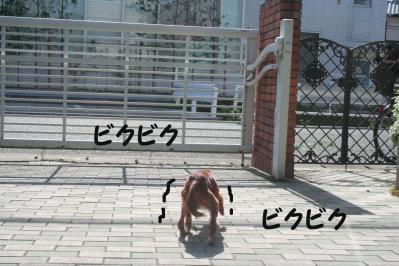 2012042847