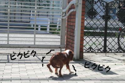 2012042848