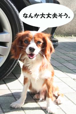 2012042850