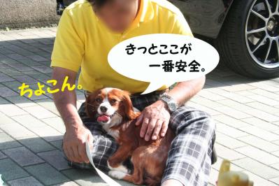 2012042851
