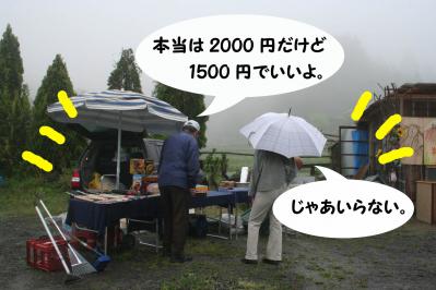 201205036