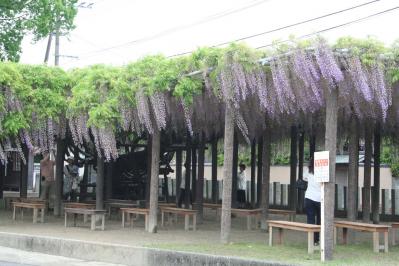 2012050317