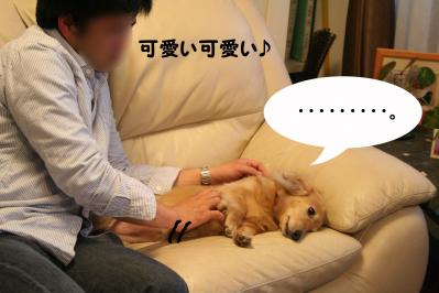 2012050319