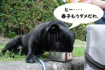 201205274