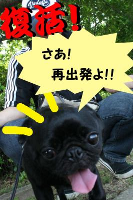 201205275