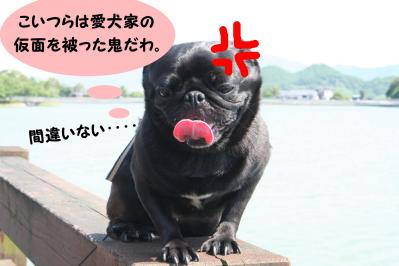 201205279