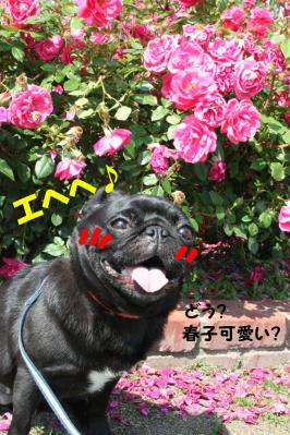 2012052714