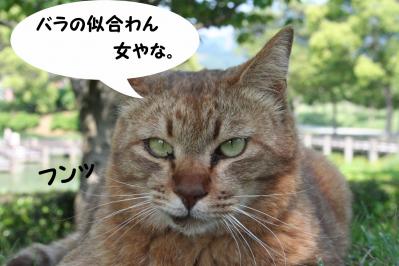 2012052716